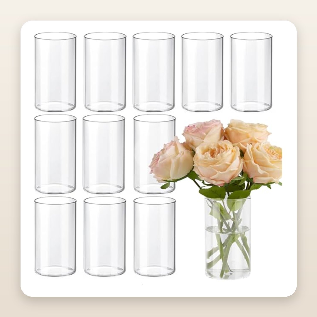 6-Inch Glass Cylinder Vases for Versatile Table Centerpieces