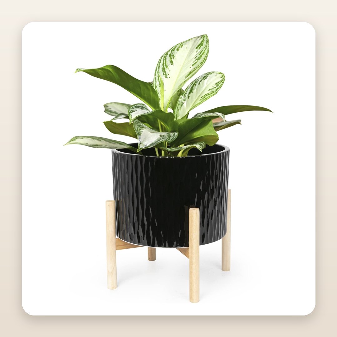 Fall Planters: The Black Ripple Pot That Gets Your Plant Off the Floor