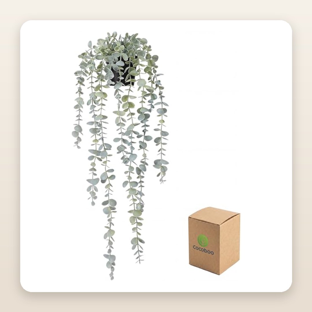 This Hanging Eucalyptus Plant Adds That Trailing, Garden-Vine Vibe