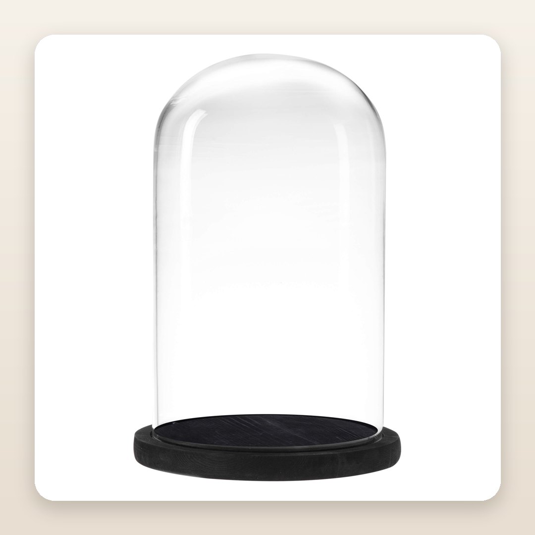 Halloween Console Decor: The Glass Cloche With a Black Wood Base That Makes Small Things Look Rare