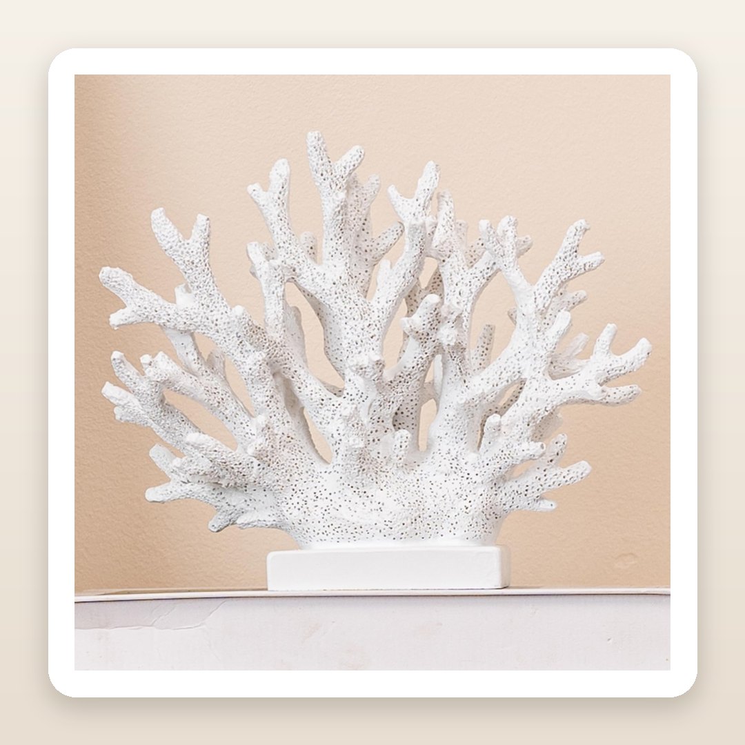 The White Coral Statue That Brings Quiet Coastal Calm to Any Shelf