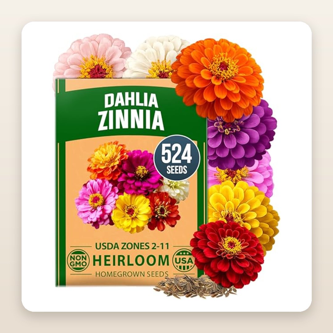 Zinnia & Dahlia Seed Mix 524 Seeds | Grow Your Own Cut-Flower Garden